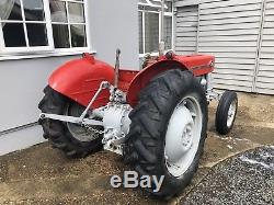Massey Ferguson 135 1966 Classic Tractor