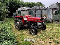 Massey Ferguson 135, Vintage Tractor, Restored, V5 Present, Great Example