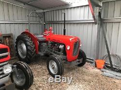 Massey Ferguson 35 3 cylinder tractor 100% fully professionally restored
