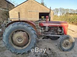 Massey Ferguson 35 3cyl with loader and link box