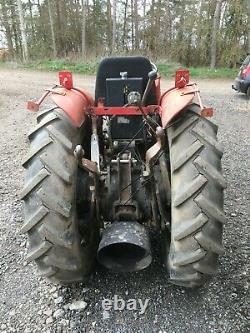 Massey Fergusson 135 MkIII Vineyard tractor