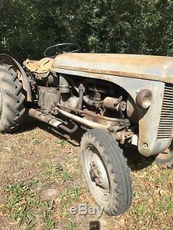 Massey-Harris. Ferguson Vineyard TEK 20 Classic / Vintage Tractor