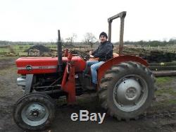 Massey ferguson 135 vintage tractor
